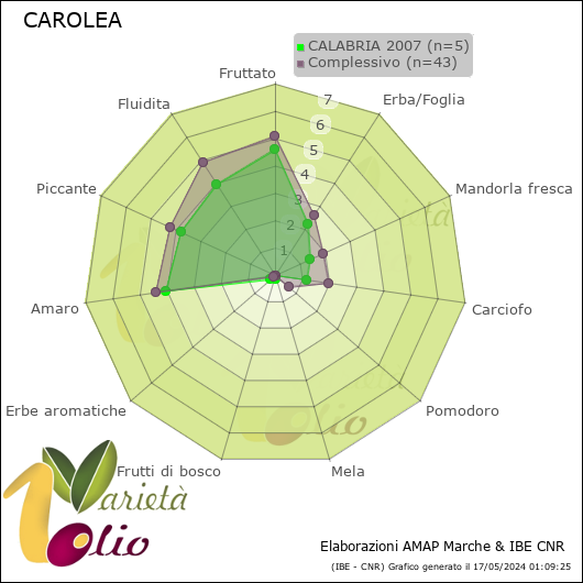 Profilo sensoriale medio della cultivar  CALABRIA 2007